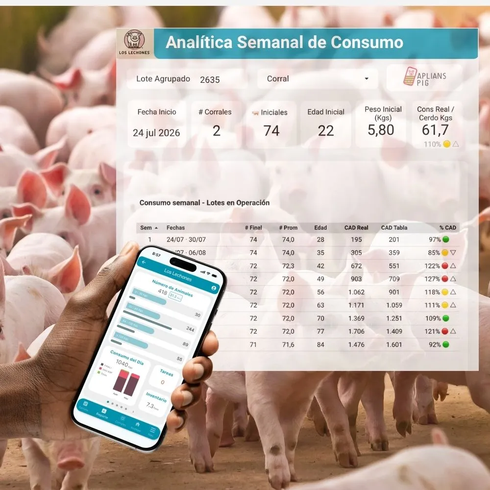 Control de consumo y desempeño de lotes porcinos en Aplians Pig