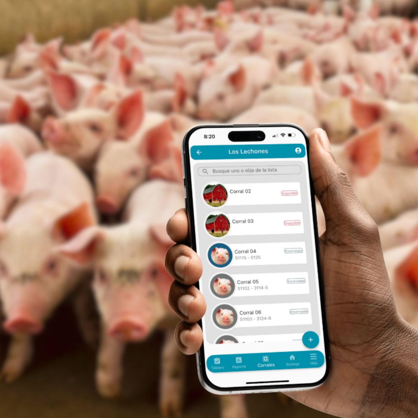 Aplians Pig para gestionar una granja porcícola desde el celular