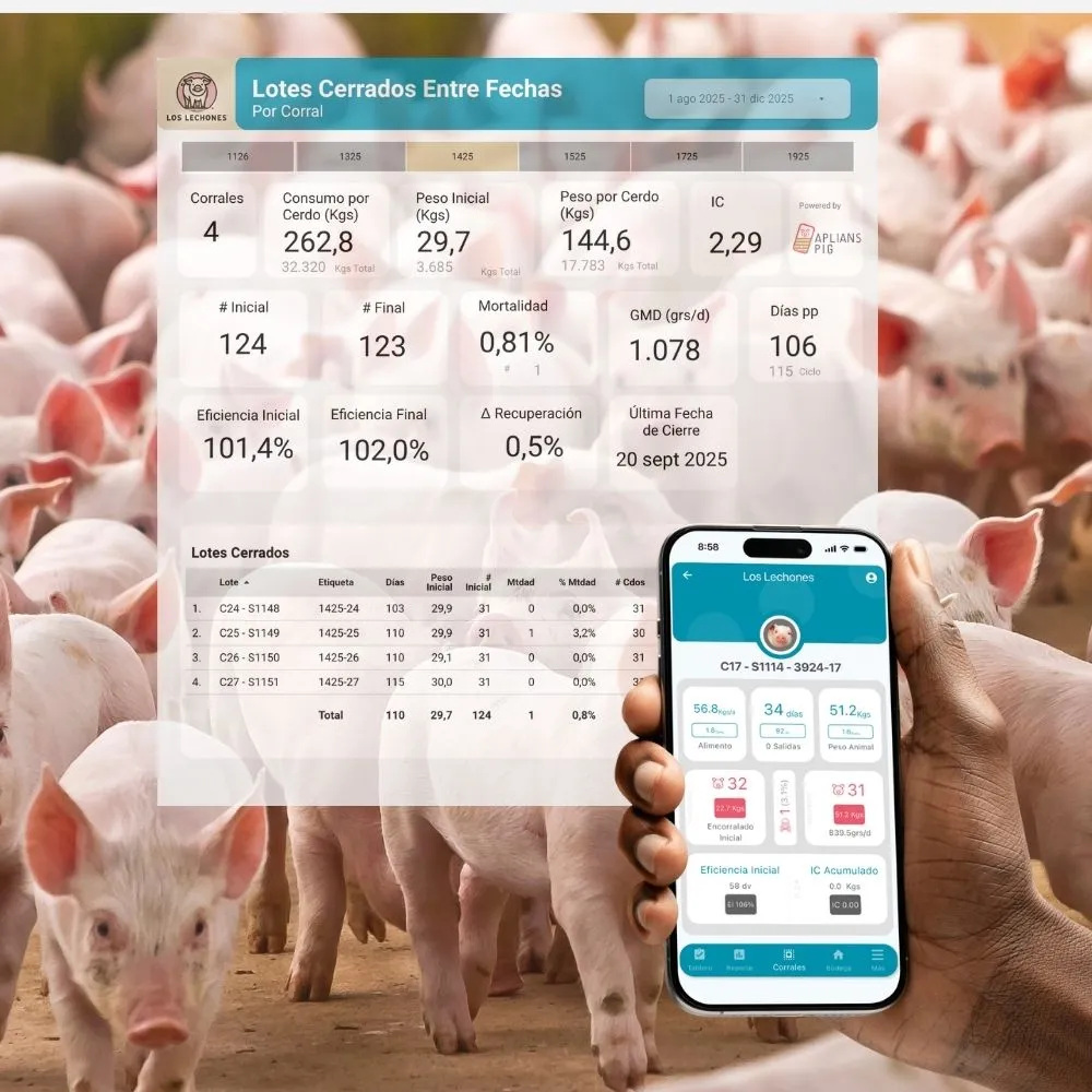 Indicadores productivos de lotes porcinos en Aplians Pig