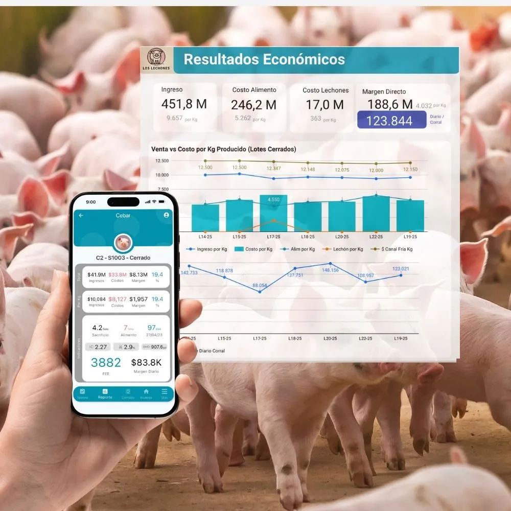 Resultado económico de lotes porcinos en Aplians Pig